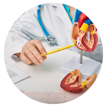 Mediache Healthcare